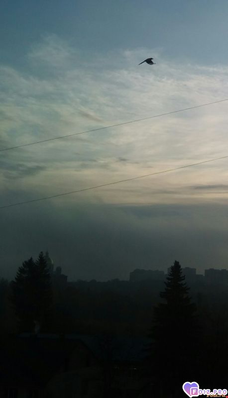 IMG_20191107_082440_415