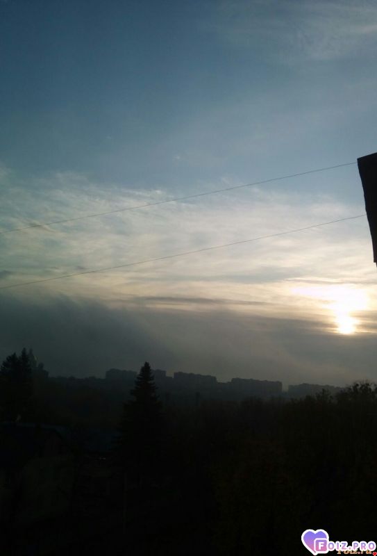 IMG_20191107_082402_736