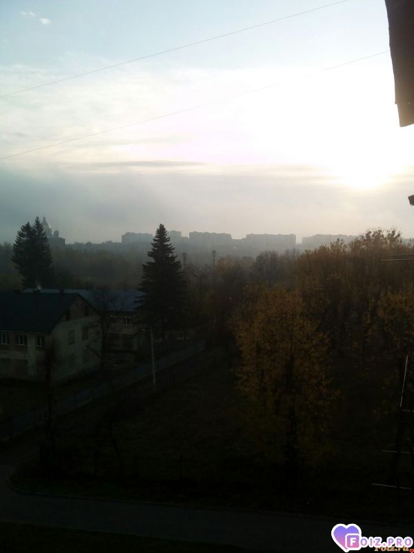 IMG_20191107_082247_330