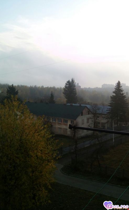 IMG_20191107_082314_630