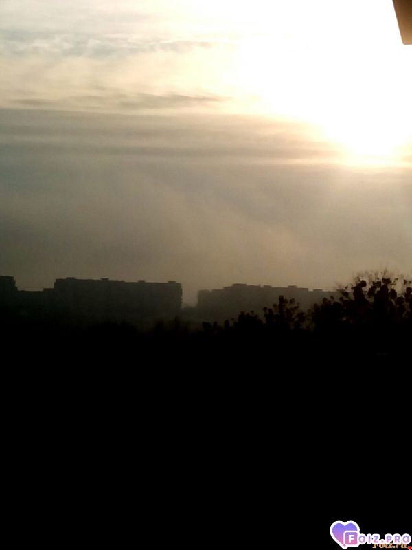 IMG_20191107_081904_774