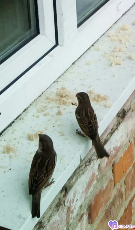 IMG_20191108_102541_414