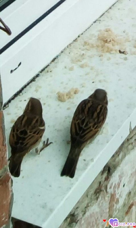 IMG_20191108_102607_875