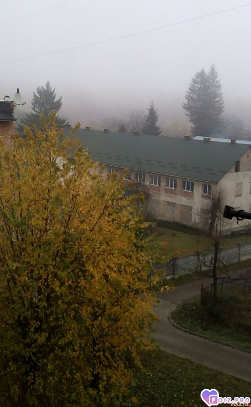 IMG_20191108_103054_473