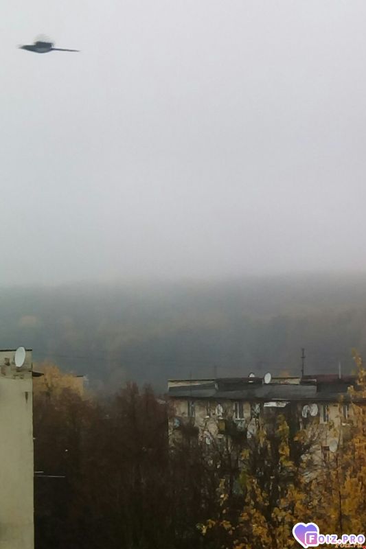 IMG_20191108_112002_569