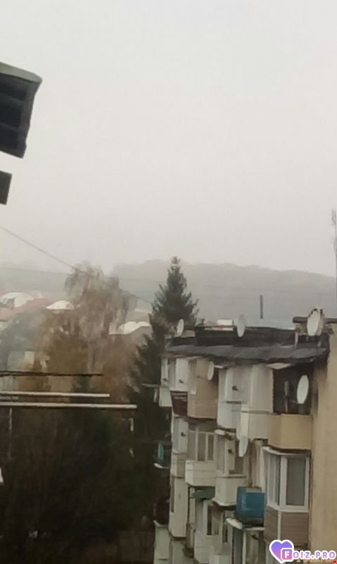 IMG_20191108_111931_385