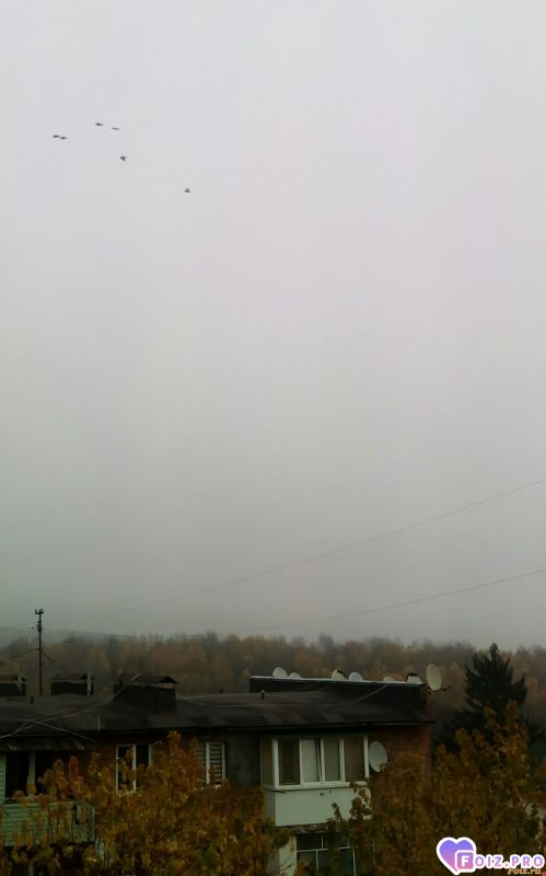 IMG_20191108_112451_520