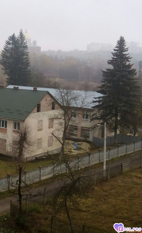 IMG_20191108_121248_438