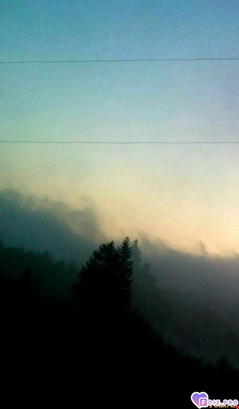 IMG_20191109_074214_431