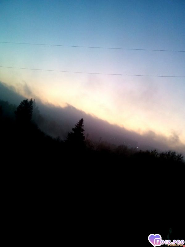 IMG_20191109_074648_346