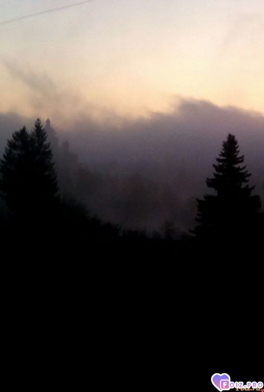 IMG_20191109_074542_068