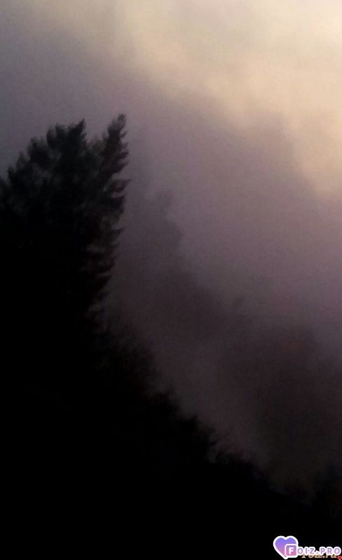 IMG_20191109_074838_822