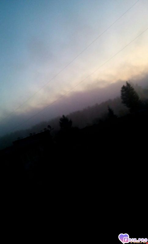 IMG_20191109_074504_426