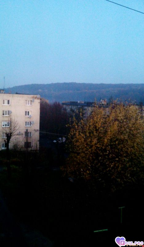 IMG_20191109_074923_051