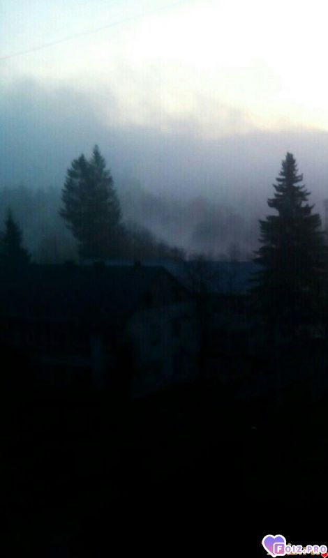 IMG_20191109_075545_813