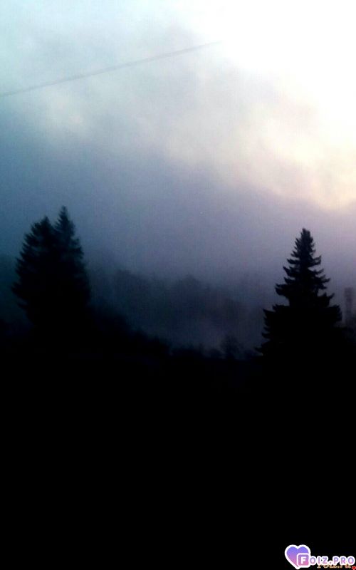 IMG_20191109_075013_266