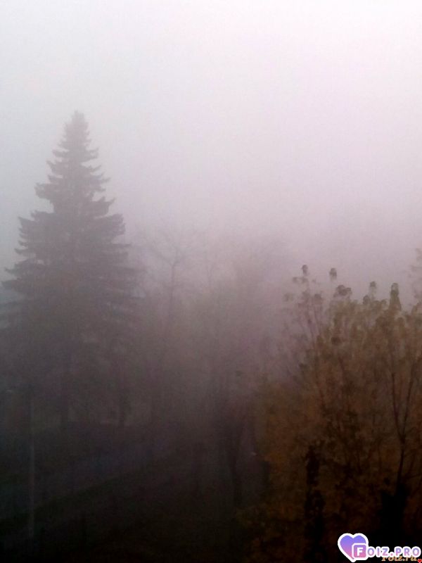 IMG_20191109_075126_903