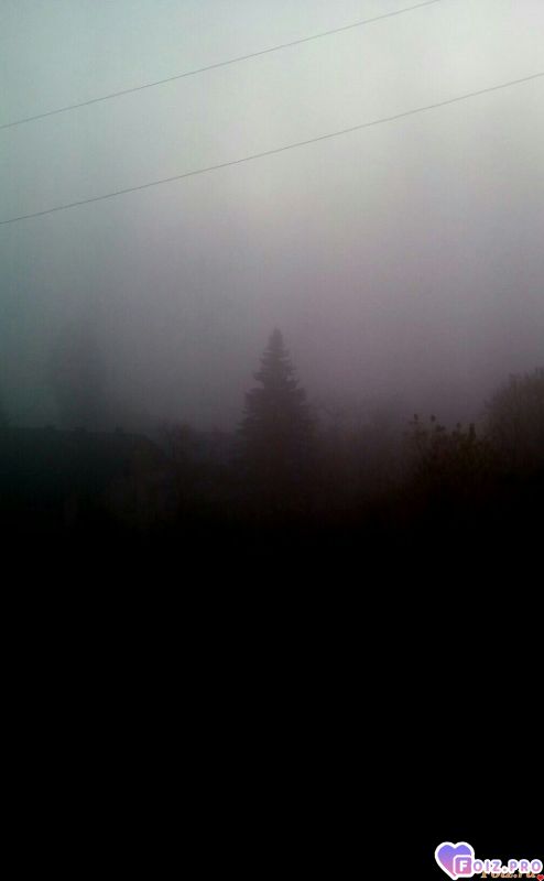 IMG_20191109_075232_926