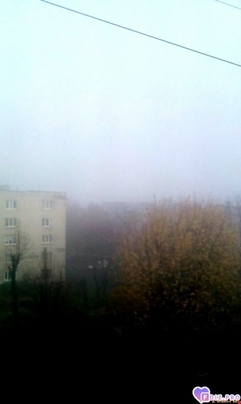 IMG_20191109_075253_472