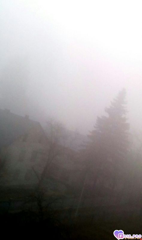 IMG_20191109_075158_693