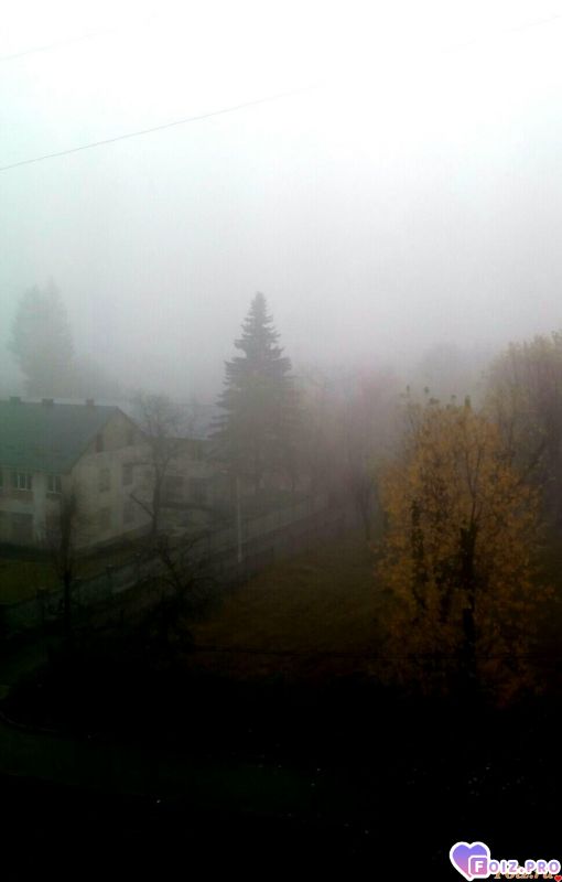 IMG_20191109_075420_594