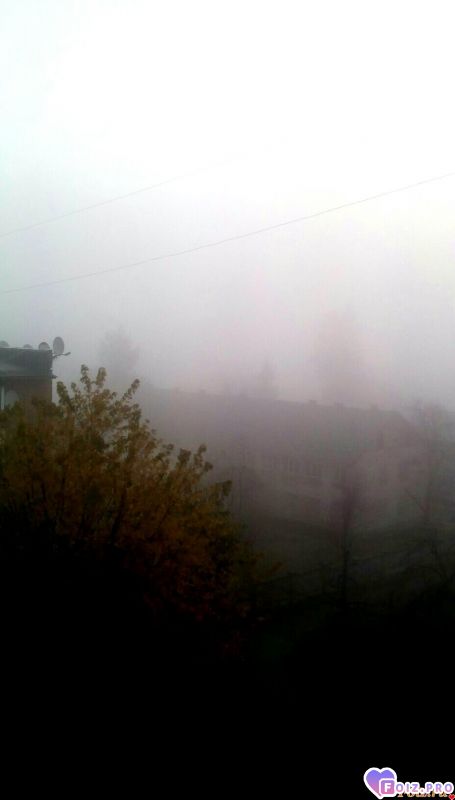 IMG_20191109_075344_151