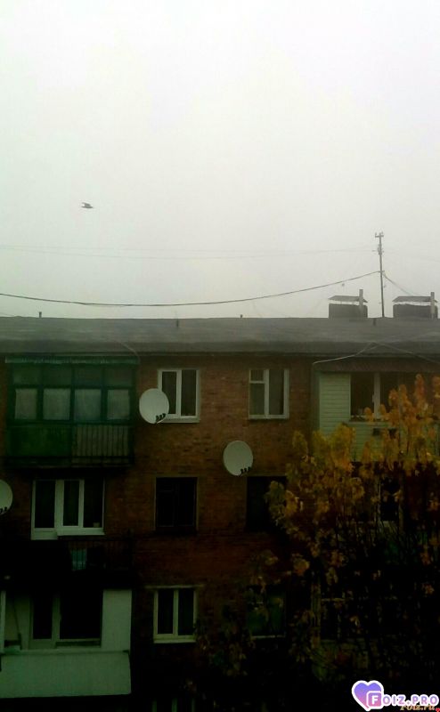 IMG_20191109_090436_602