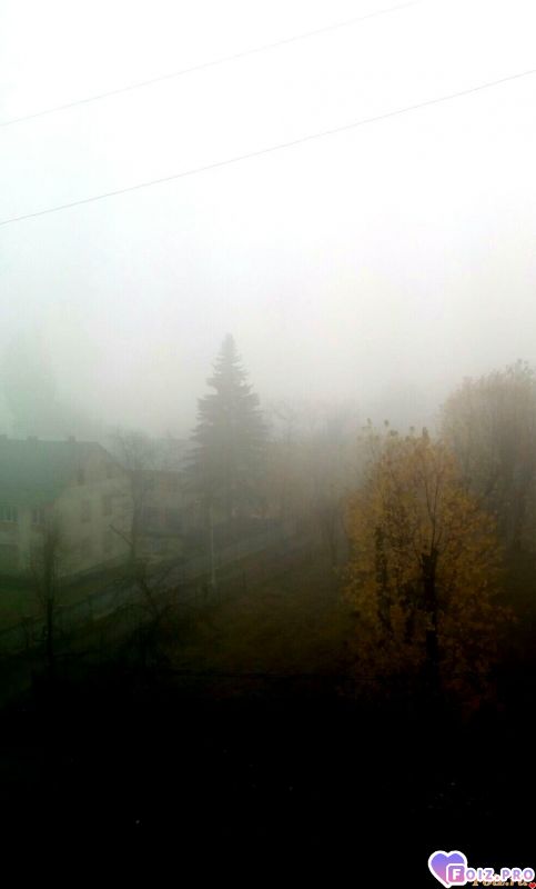 IMG_20191109_090150_085