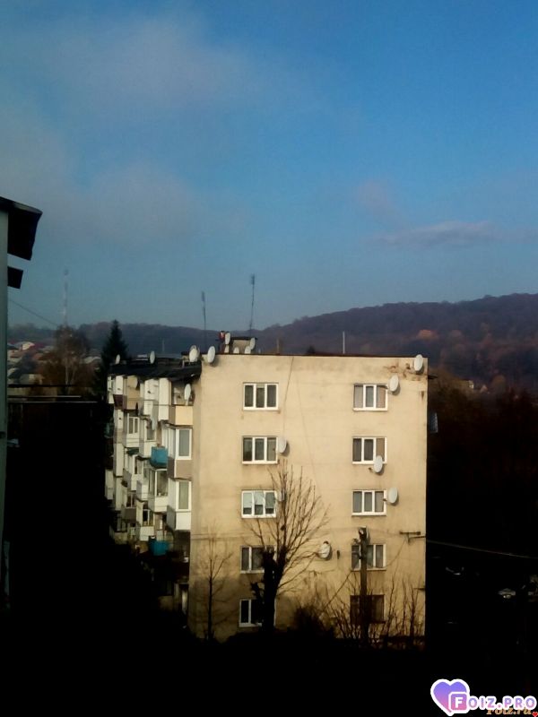 IMG_20191109_124644_920