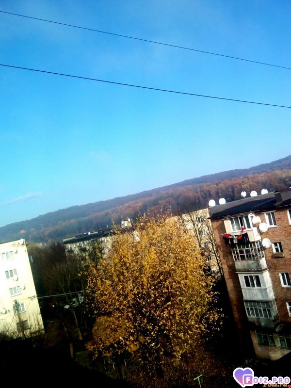 IMG_20191109_124622_499