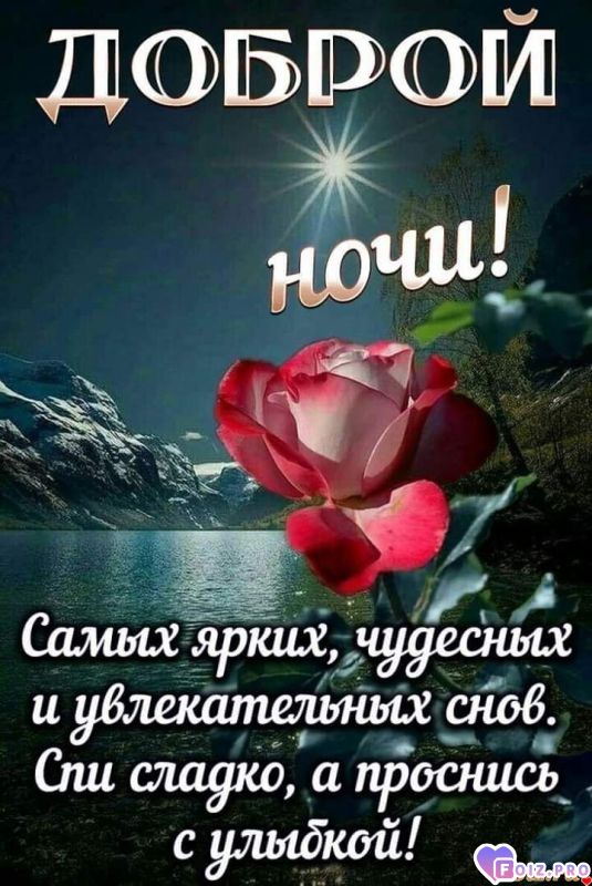 FB_IMG_1572073177679