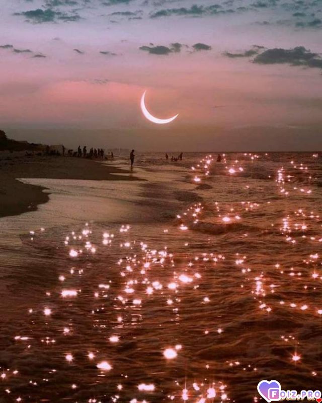 FB_IMG_1571387588379