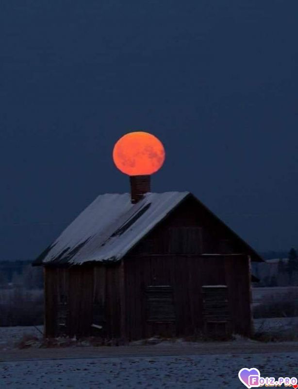 FB_IMG_1571965052772