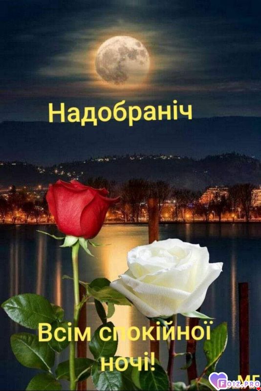 FB_IMG_1573408947907