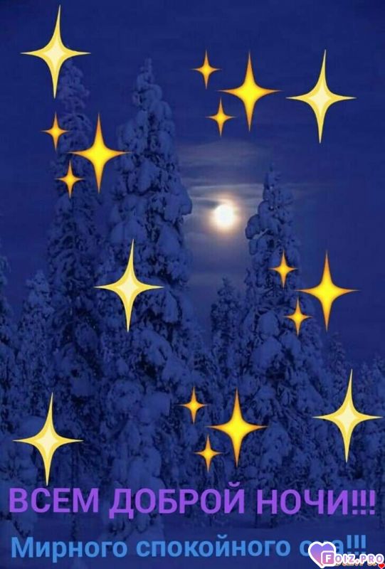 FB_IMG_1573331419744