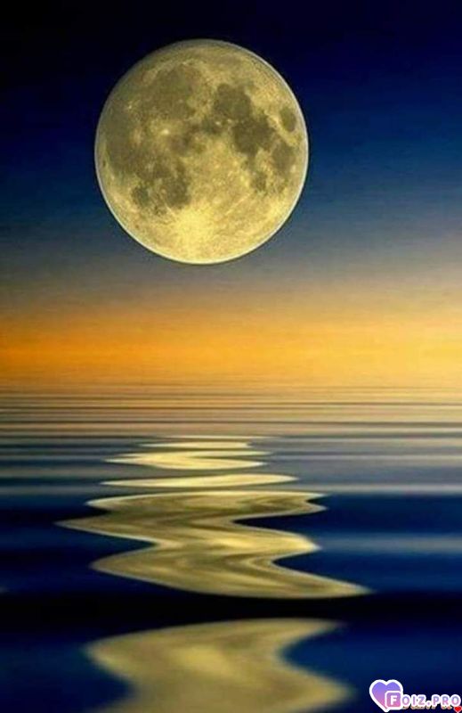 FB_IMG_1573332998469