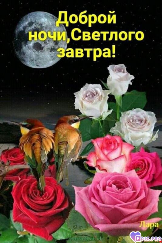 FB_IMG_1573077029259