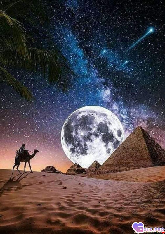 FB_IMG_1573097303153