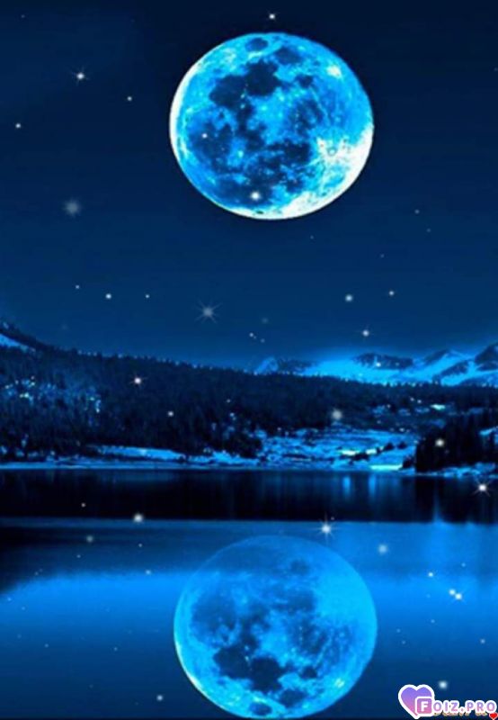 FB_IMG_1572659384642