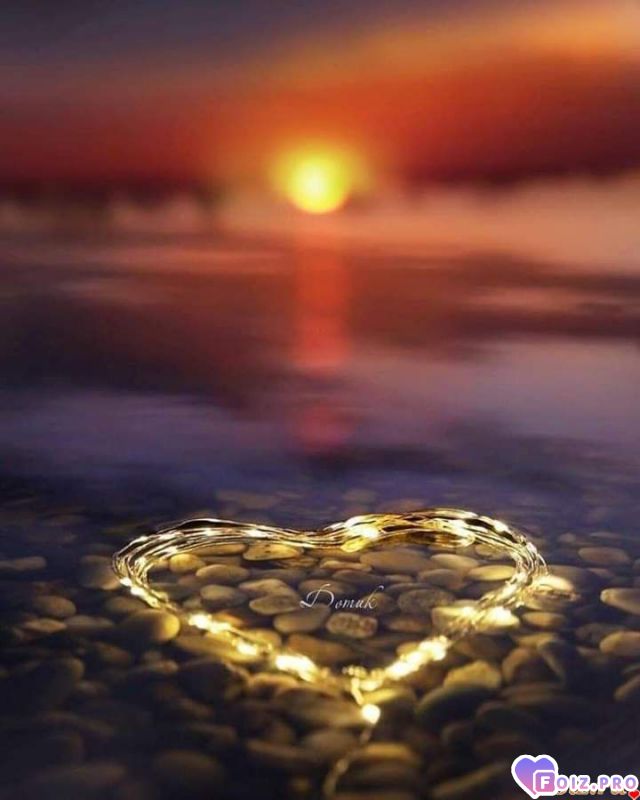 FB_IMG_1574486901613