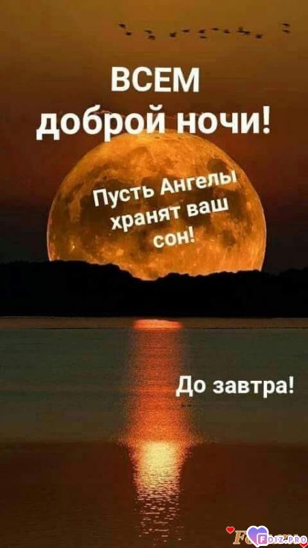 FB_IMG_1574189871138