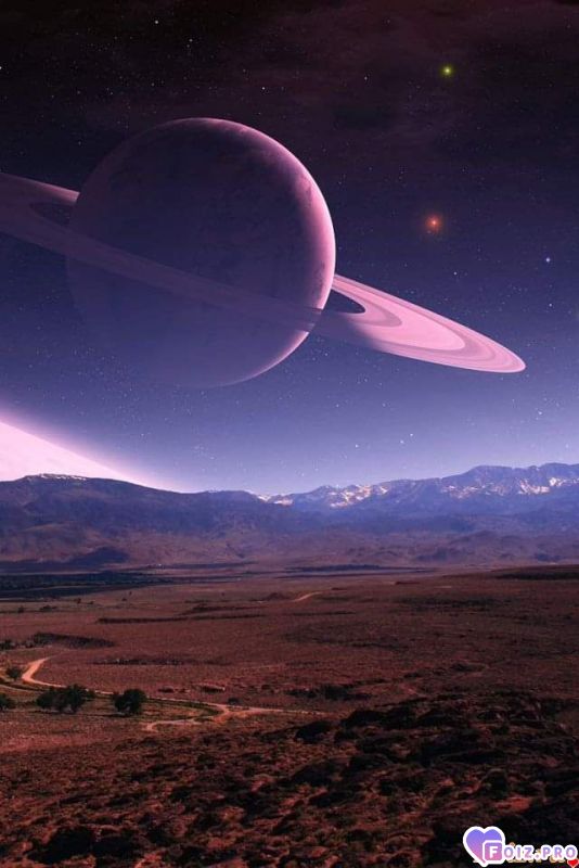 FB_IMG_1573984781531