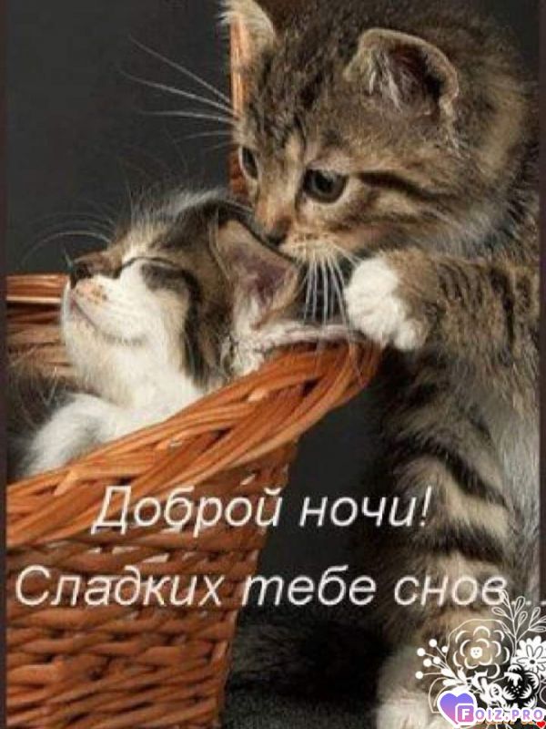 FB_IMG_1573937052253