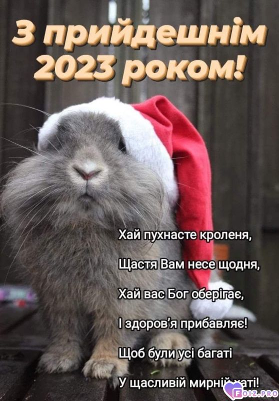 Поздравления!