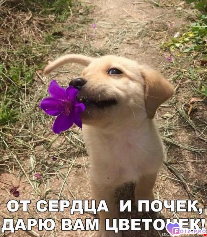 Ka4ay.Net_upload_2017_08_23_14.0