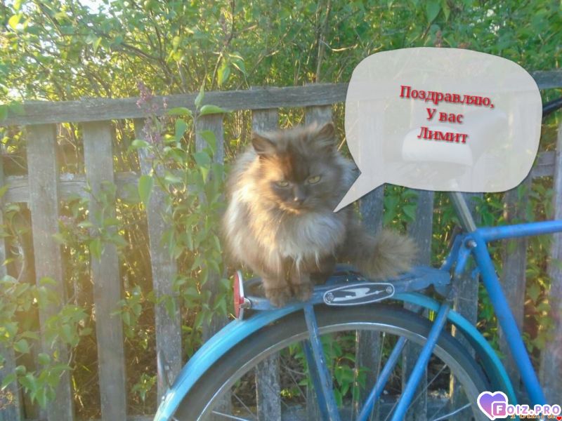 IMG_202005147_050135