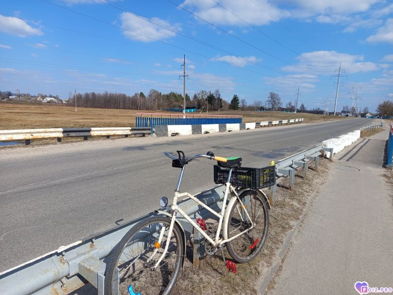 Буслик на мосту