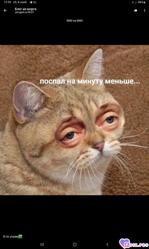 -Не-выспался-