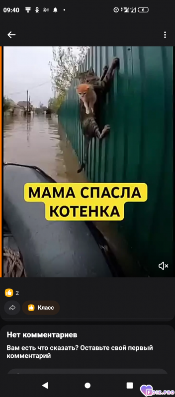-Спасение-