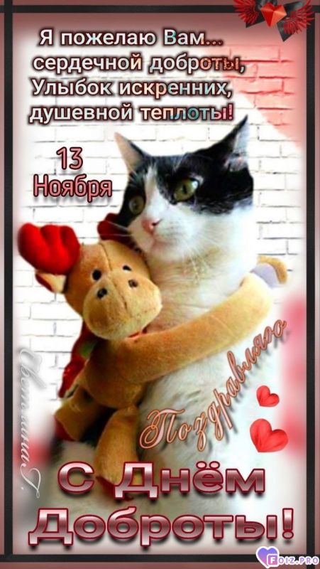 -День-Доброты-